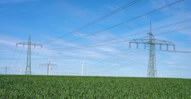 Overhead power lines in a cornfield