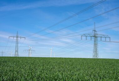 Overhead power lines in a cornfield
