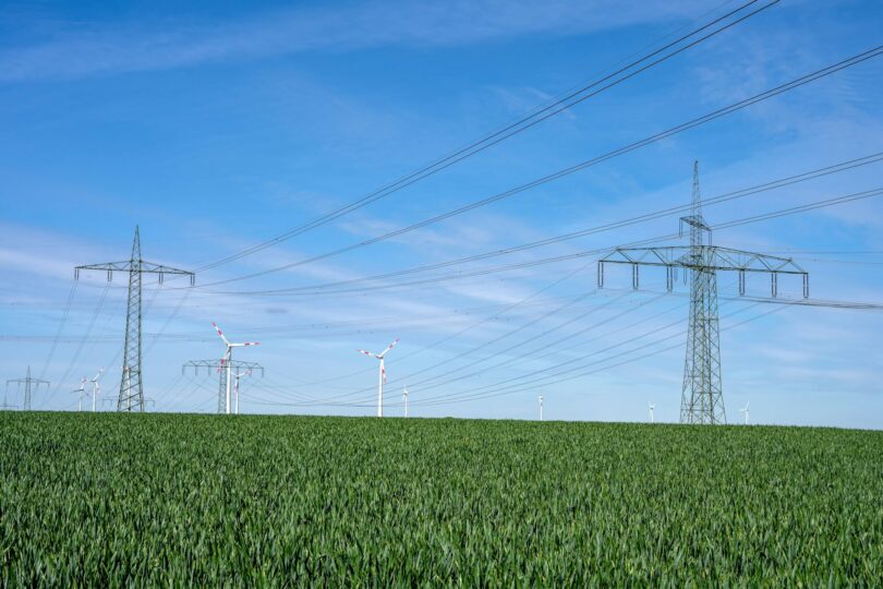 Overhead power lines in a cornfield