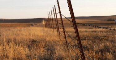 Leaning barbwire fence on a rural field in Calhan, Colorado