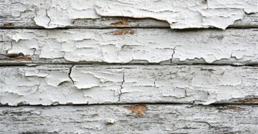 Weld County highlights lead exposure dangers during Prevention Week