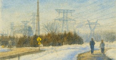 Colorado’s PUC Picks Your Furnace For You. Normies, Time To Wake Up.